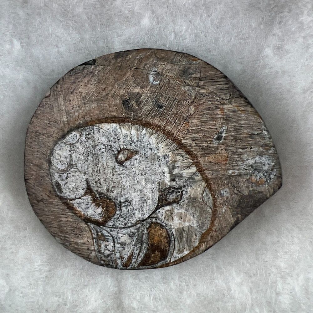VTG Jurassic Ammonite Fossil 150MYA Morocco Polished Spiral The Nature Company